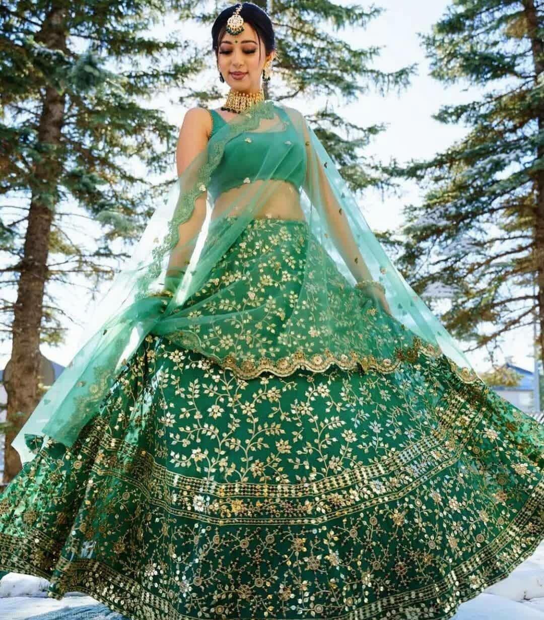Indian Designer Heavy Net Lehenga Choli With Beautiful Dupatta For Women Wear