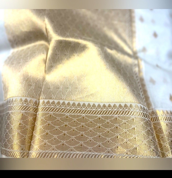 A stunning pure silk organza saree , all handcrafted,with exquisitely woven zari