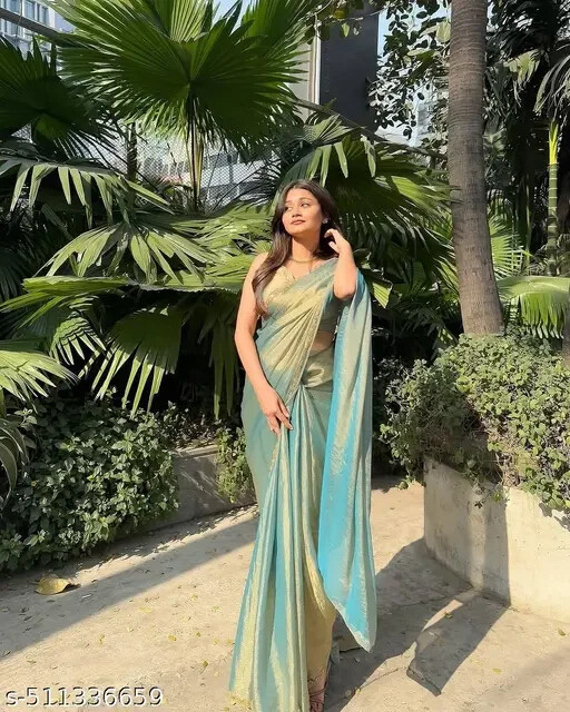 Traditional Chiffon Soft Fabric Saree With Blouse