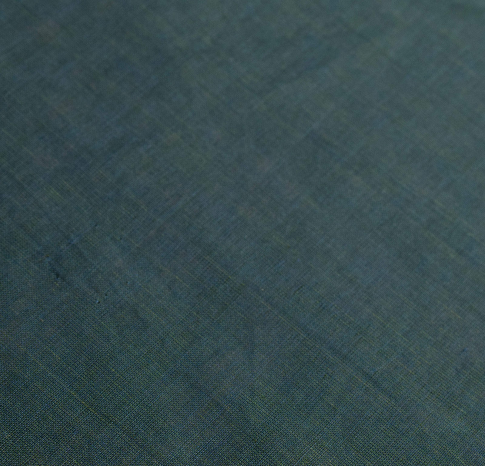 Sushila Vintage Pure Cotton Handloom Saree Dark Green Stripes Deer Woven Sari Fa