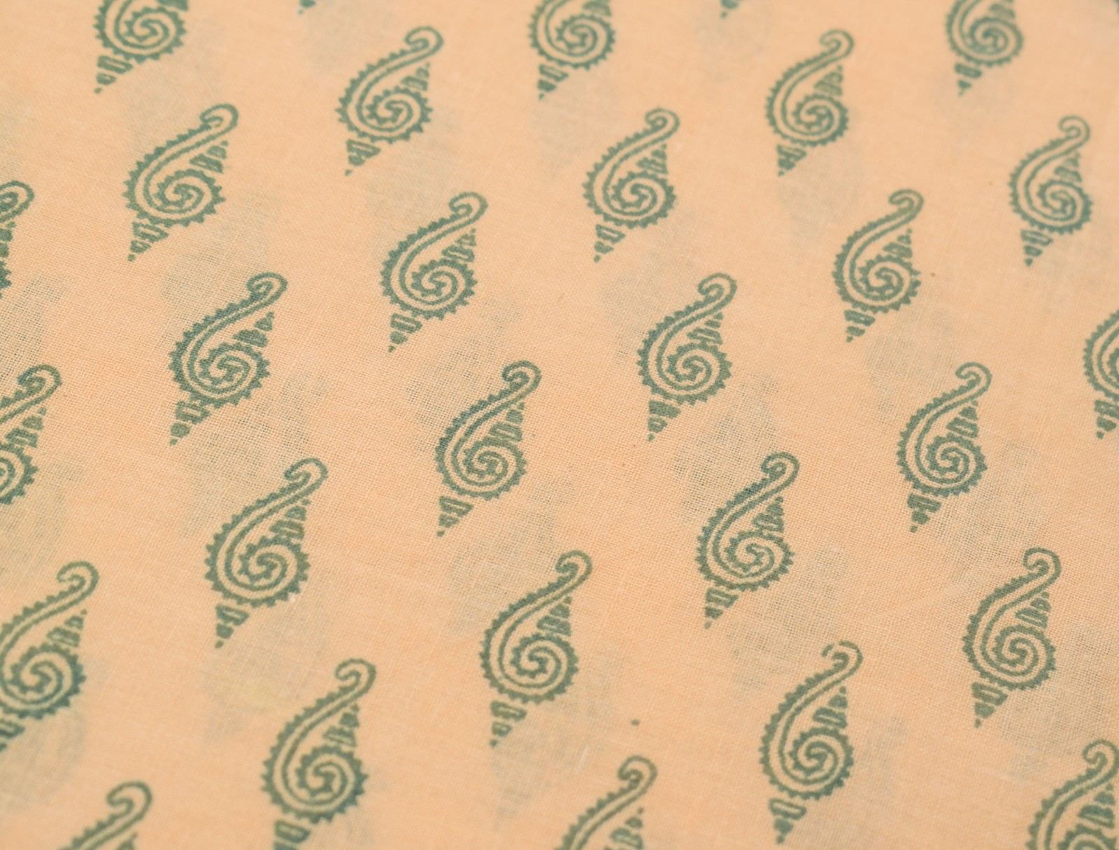 Sushila Vintage Beige Saree 100% Pure Cotton Woven & Printed Indian Craft Fabric
