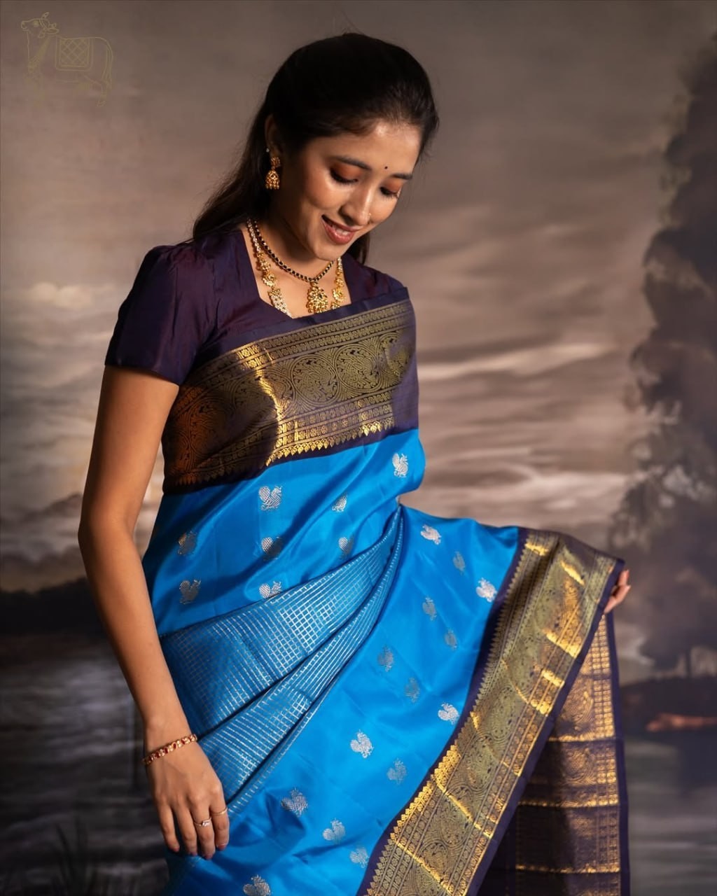Royal Blue Soft Silk Saree with Elegant Golden Zari Work ✨
