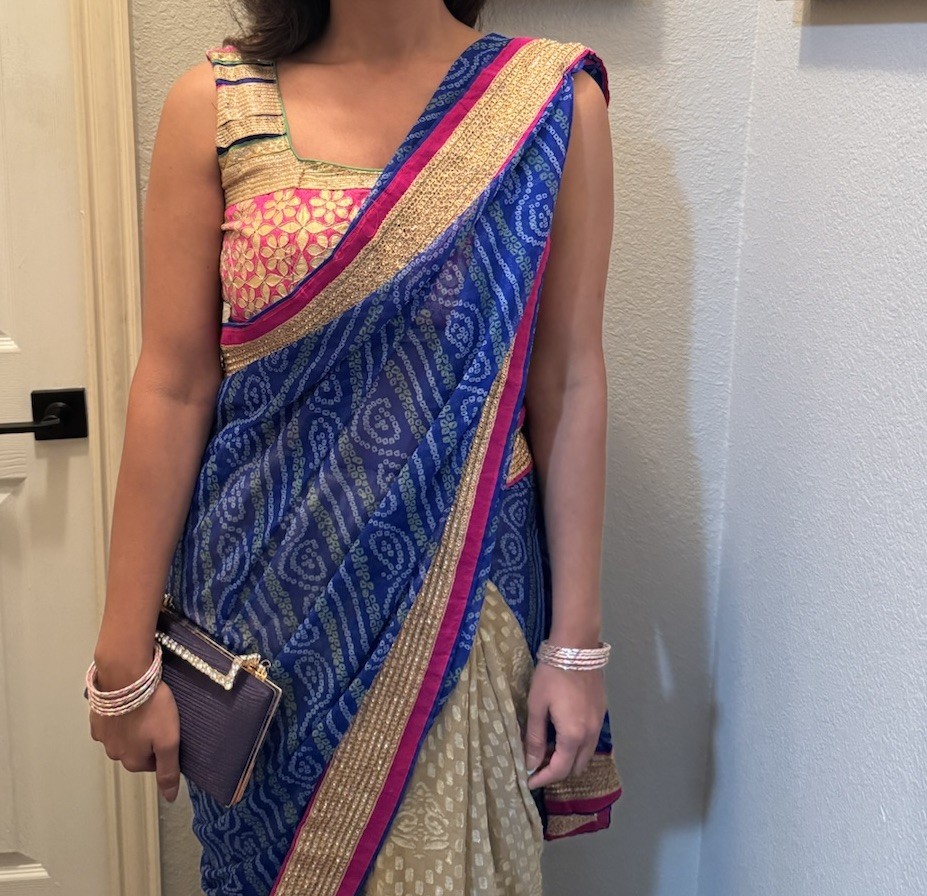 Blue Beige Pink Gold Border Traditional Indian Sari Saree for Women One Size