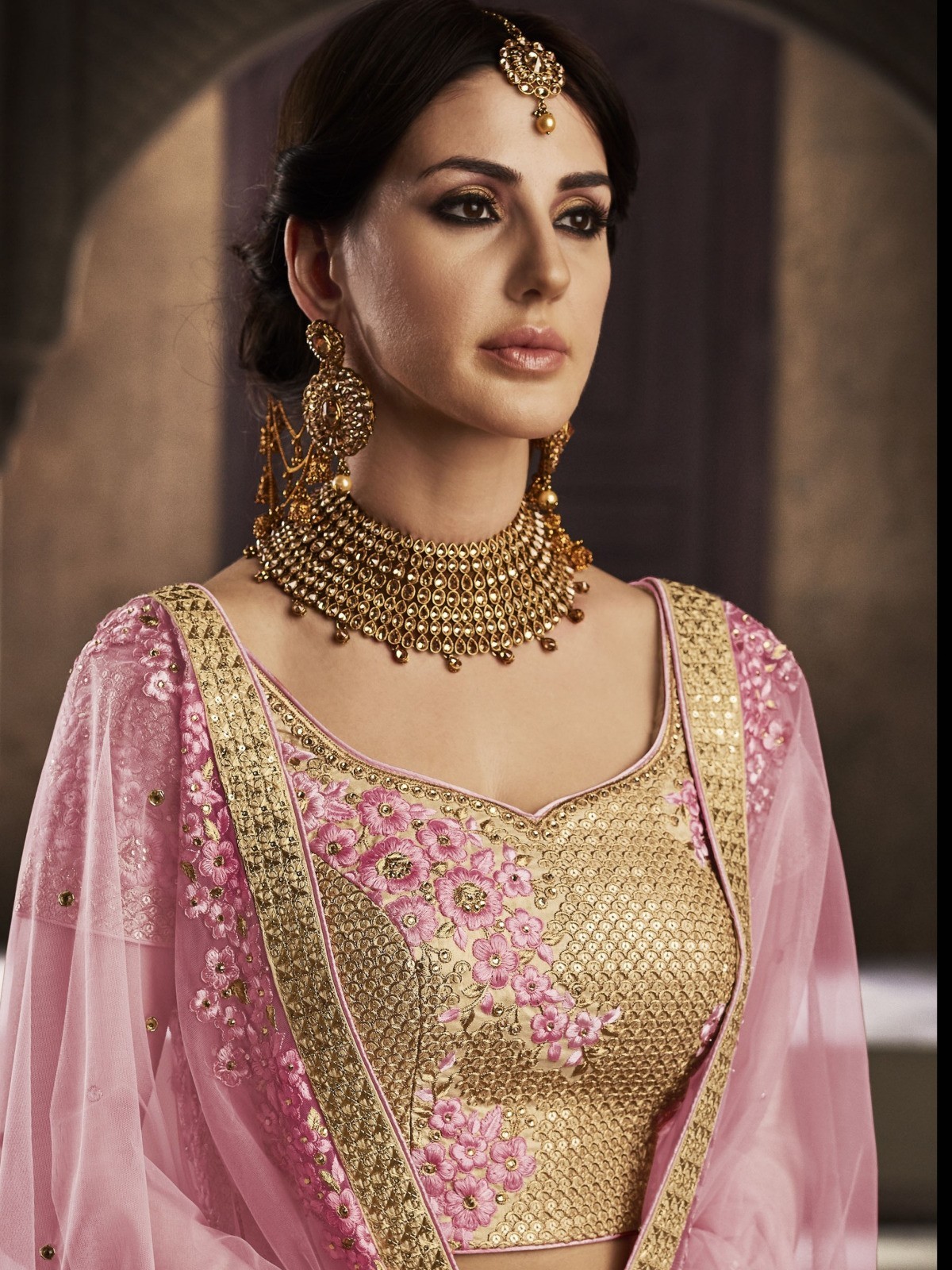 Designer Chaniya Choli Lehenga Indian Wedding Party Pakistani Wear Bollywood