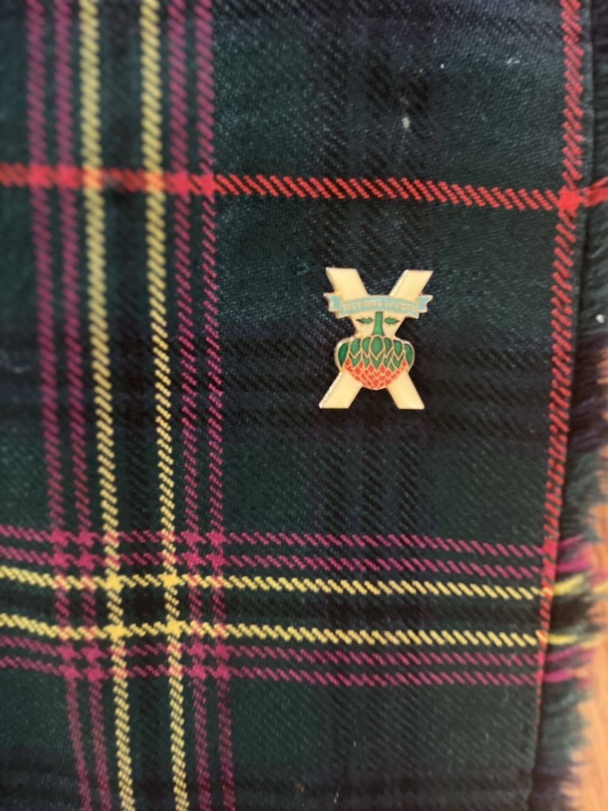 Vintage Thomas Gordon Kilt Green Plaid Kennedy Tartan in Modern Colors w/ Pin
