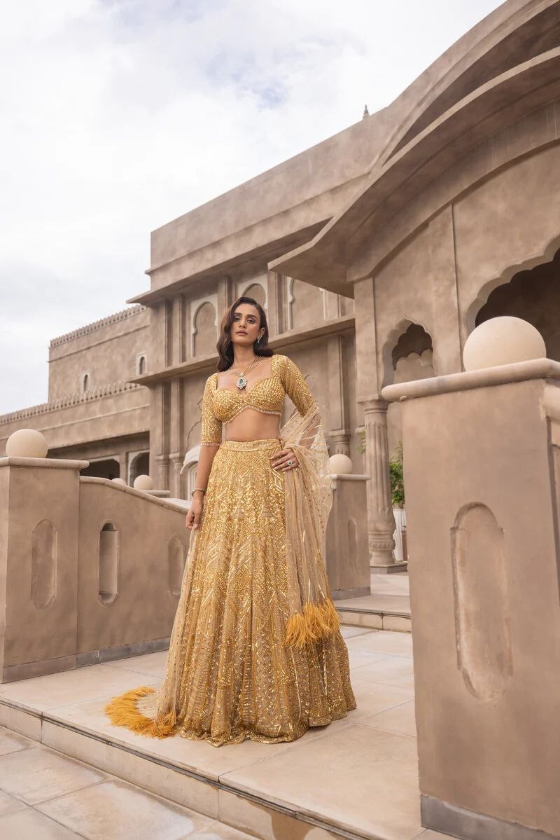Soft Net Beige Lehenga Choli For Women New Party Wear Designer Lehenga Choli