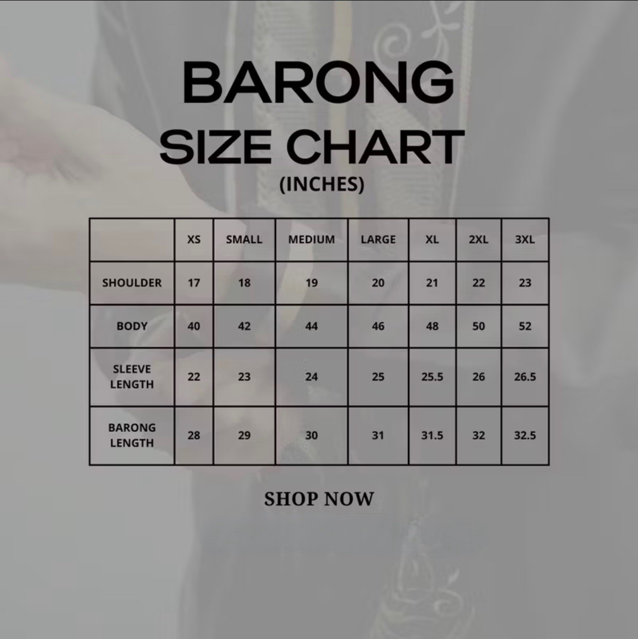 Barong Tagalog for Men Piña Organza with Lining Shades of Gray (Large)
