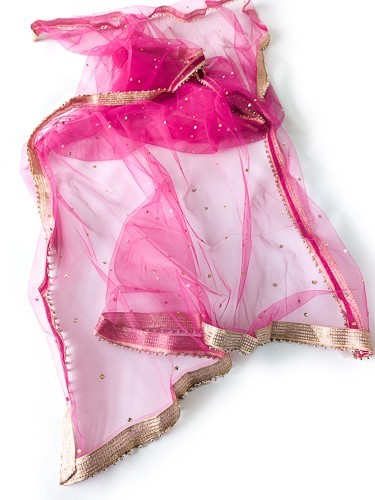 Womens Indian Dupatta Hot Pink and Gold Net Mesh Tulle Rhinestone Scarf